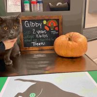 Highland Veterinary Center ico