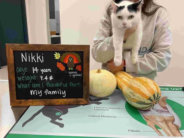 Highland Veterinary Center 8