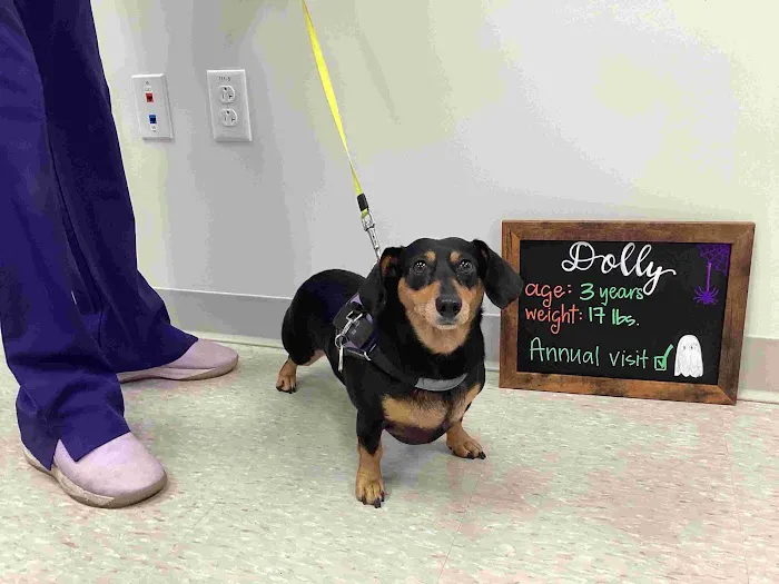 Highland Veterinary Center 2