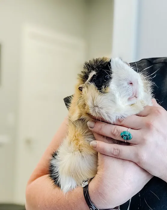Ooltewah Veterinary Hospital 3