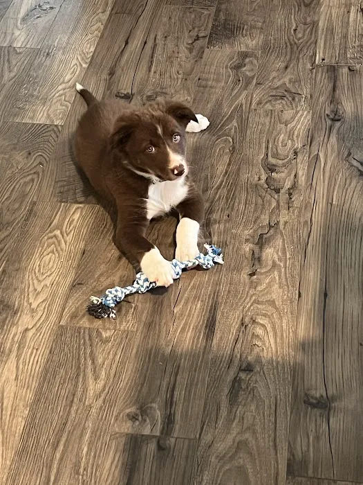 Ooltewah Veterinary Hospital 5