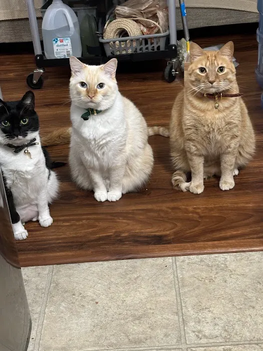 Pet Care Veterinary Hospital 3