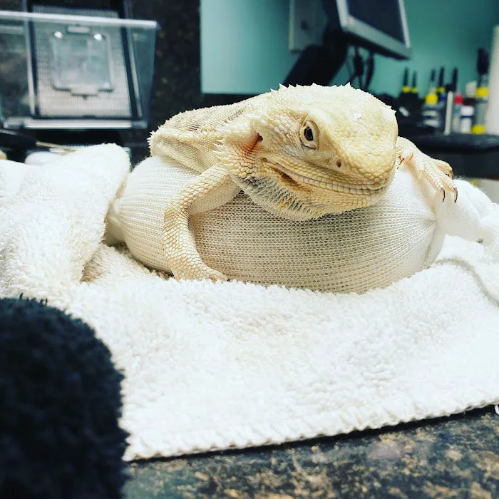 Pet Care Veterinary Hospital 9