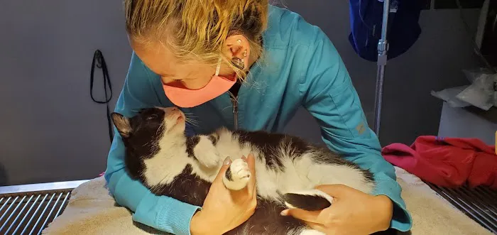 Pet Care Veterinary Hospital 1