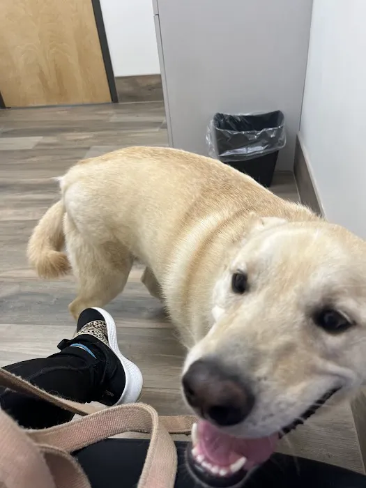 Constant Companion Animal Hospital 12