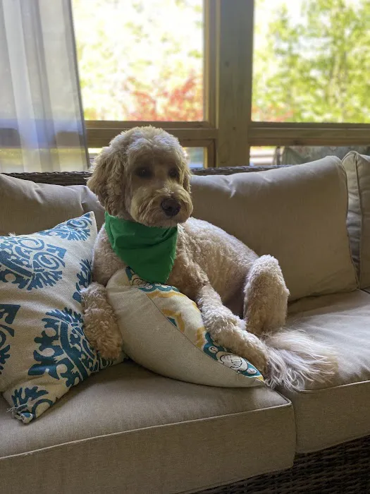 Constant Companion Animal Hospital 12