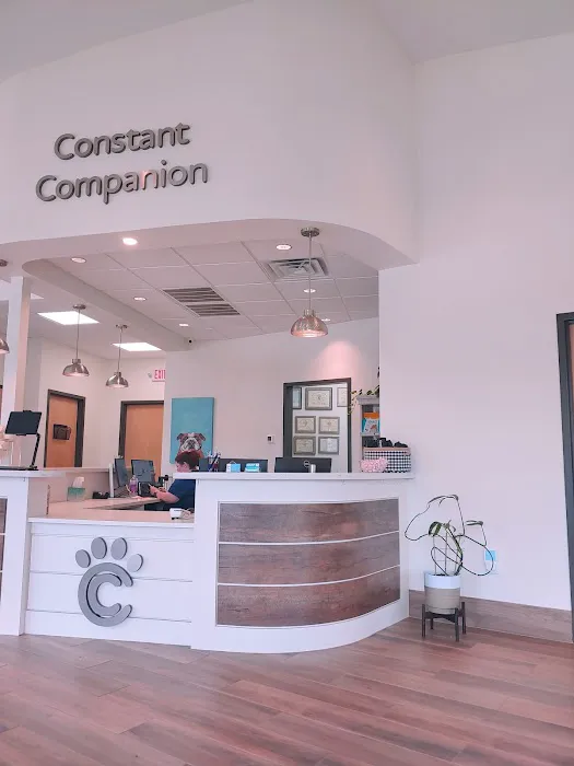 Constant Companion Animal Hospital 12