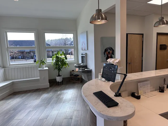 Constant Companion Animal Hospital 12