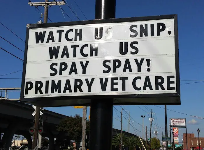 Primary Veterinary Care 12