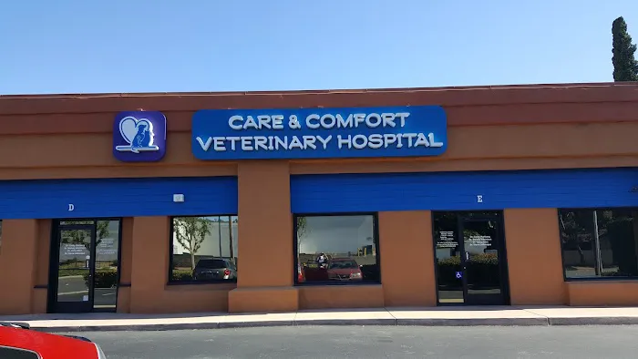 Care & Comfort Veterinary Hospital, A Thrive Pet Healthcare Partner 2
