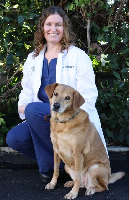 Care & Comfort Veterinary Hospital, A Thrive Pet Healthcare Partner 3