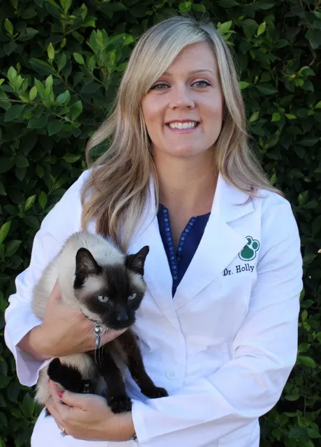 Care & Comfort Veterinary Hospital, A Thrive Pet Healthcare Partner 9