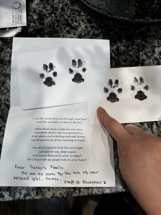 BluePearl Pet Hospital 10