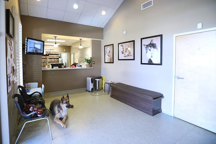 BluePearl Pet Hospital 7