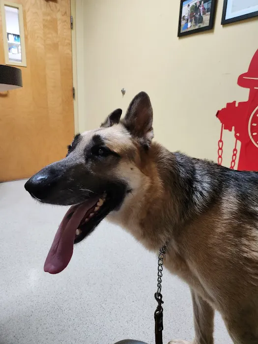Animal Care Hospital 12