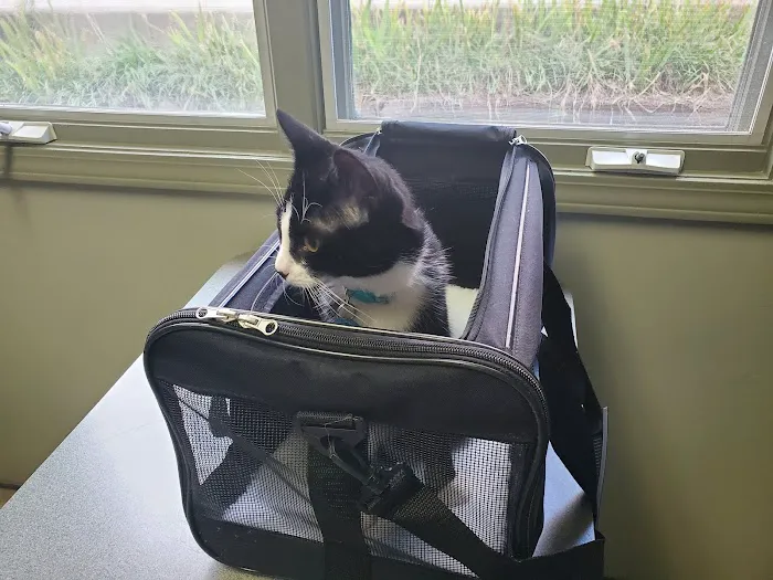 Animal Care Hospital 12