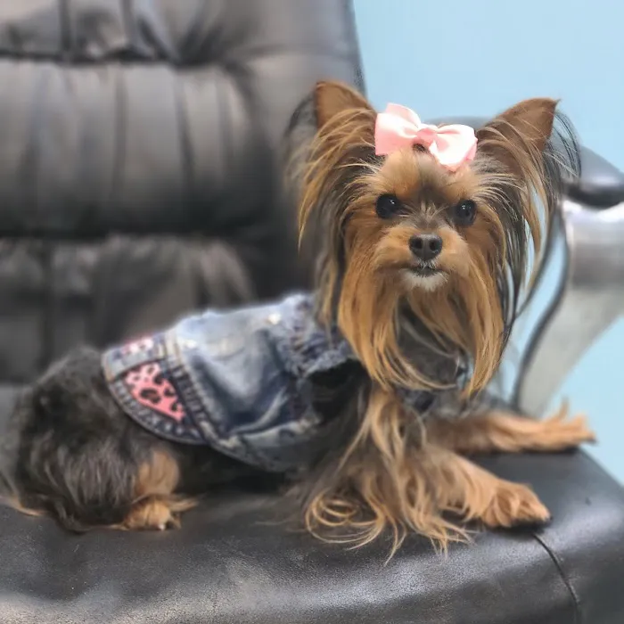 Morningside Animal Care Center 4