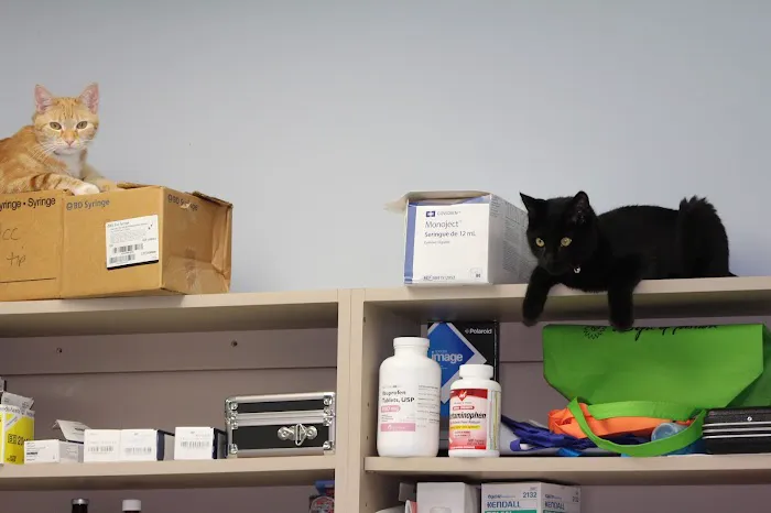 Morningside Animal Care Center 1