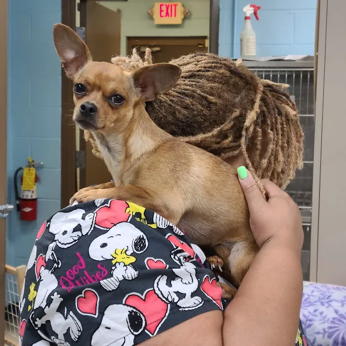 Morningside Animal Care Center 8