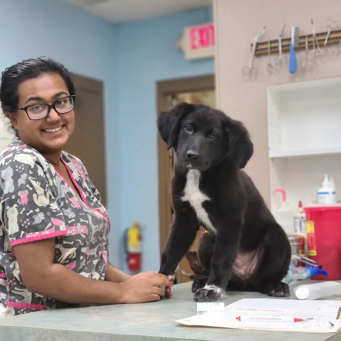 Morningside Animal Care Center 9
