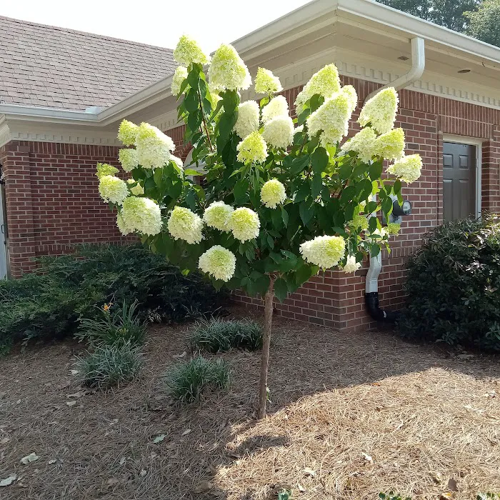 Snellville Animal Hospital 7