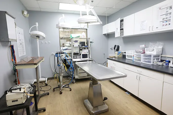 Cobb Emergency Veterinary Clinic 8