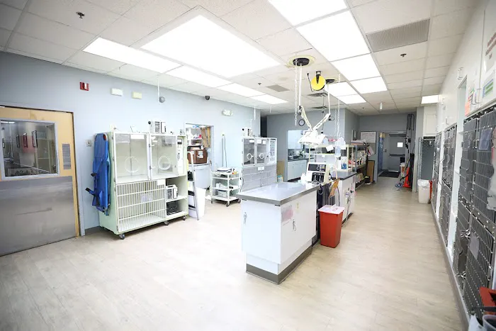 Cobb Emergency Veterinary Clinic 7