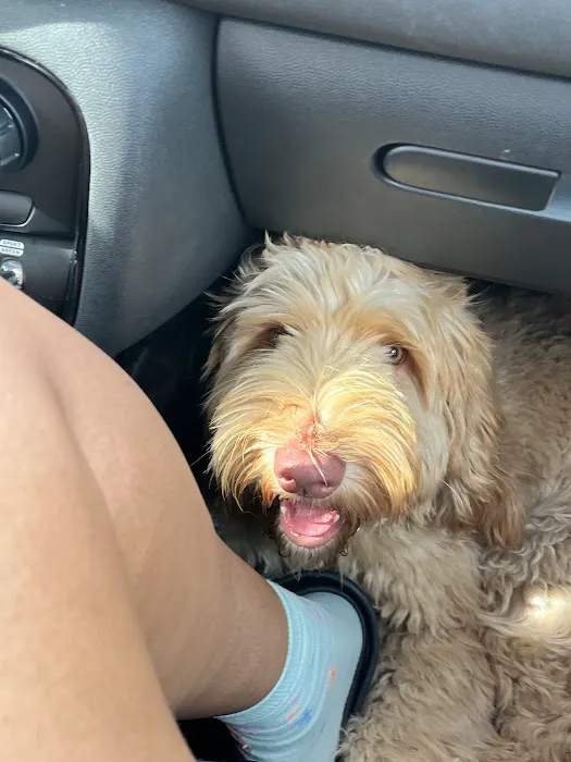 Villa Rica Animal Hospital 6