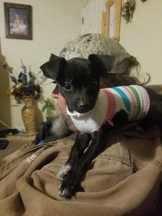 Villa Rica Animal Hospital 4