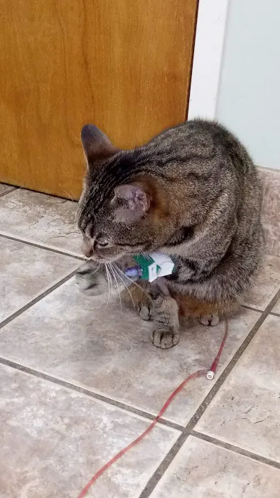 Villa Rica Animal Hospital 3