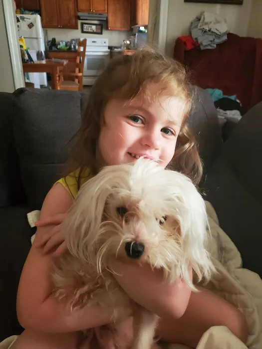 Villa Rica Animal Hospital 5