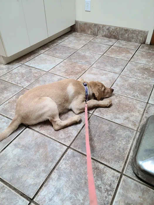 Villa Rica Animal Hospital 2