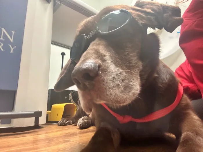 Mills Animal Hospital Acworth 7
