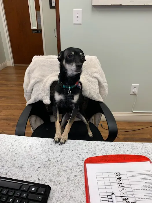 Mills Animal Hospital Acworth 1