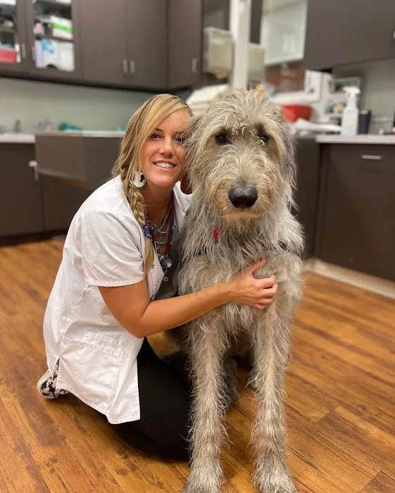 Mills Animal Hospital Acworth 4