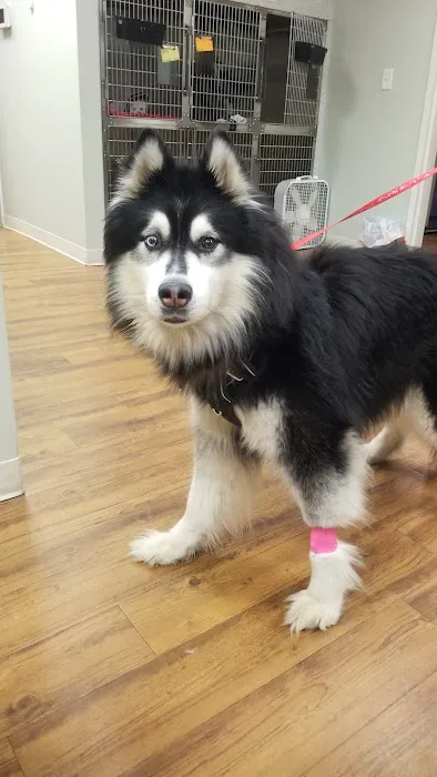 Mills Animal Hospital Acworth 3