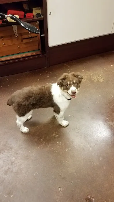 Price Creek Animal Hospital 2