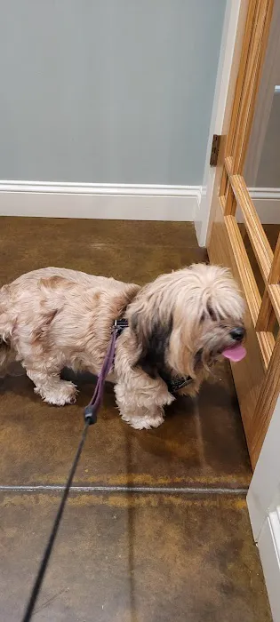 Price Creek Animal Hospital 9