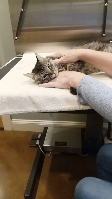 Price Creek Animal Hospital 1