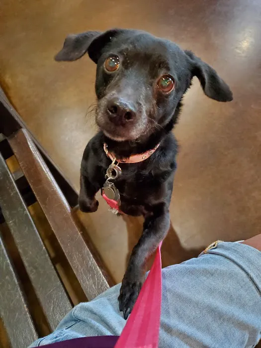 Price Creek Animal Hospital 4
