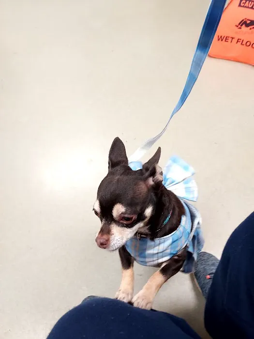 Bremen Animal Hospital 12