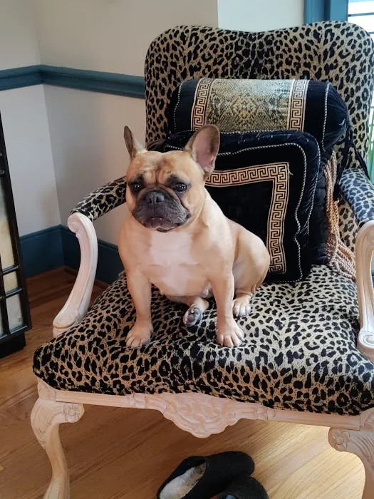 Bowdon Animal Hospital 12