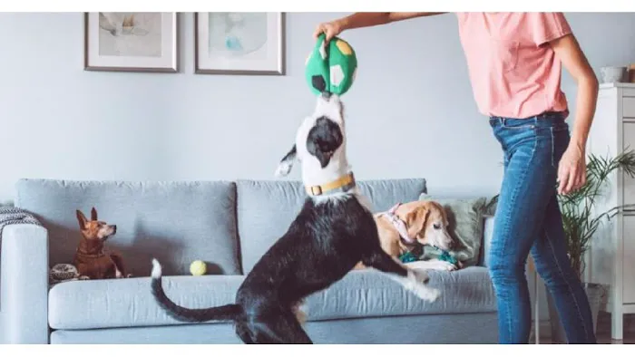 Walmart Pet Services Center 1