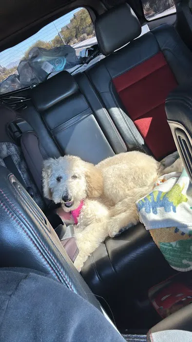 Walmart Pet Services Center 4