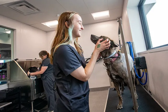 Walmart Pet Services Center 9