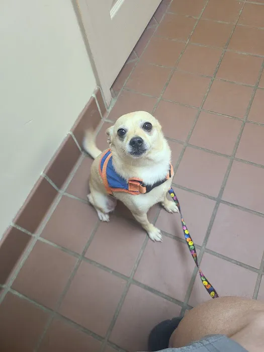 Grayson Veterinary Hospital 12