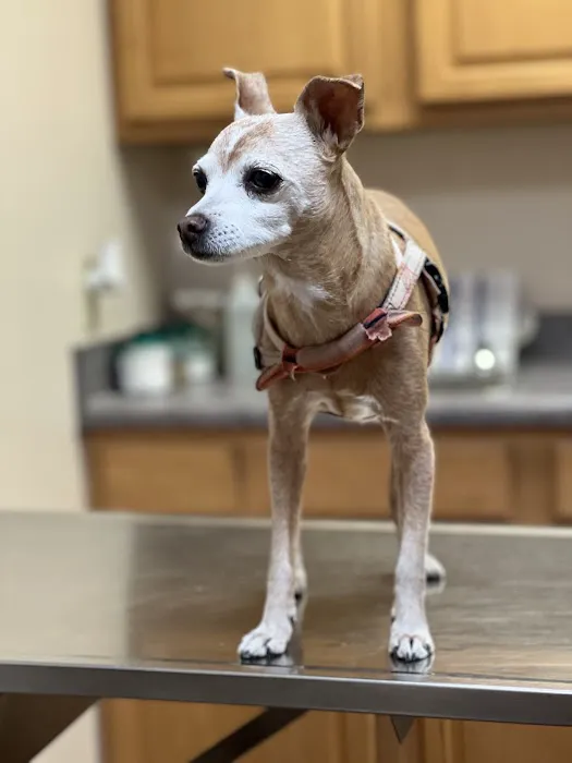 Grayson Veterinary Hospital 12