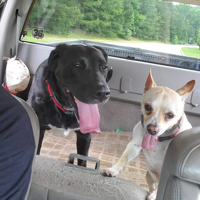 Walton Gwinnett Animal Clinic 12