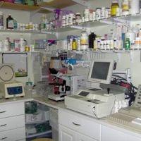 Animal Medical Center of Monroe ico
