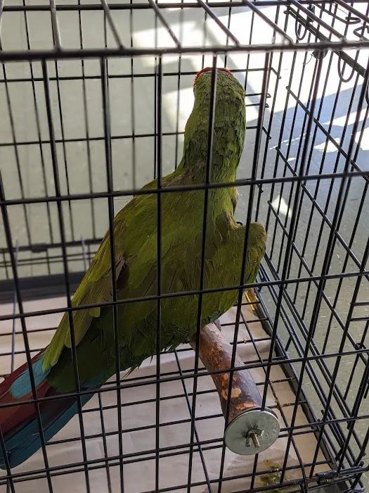 Animal Medical Center of Monroe 12